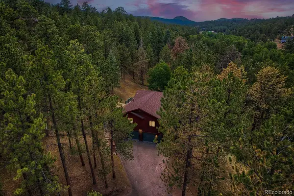 715 Mockingbird TRL, Bailey, CO 80421