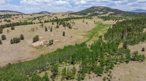3243 County Road 86, Victor, CO 80860
