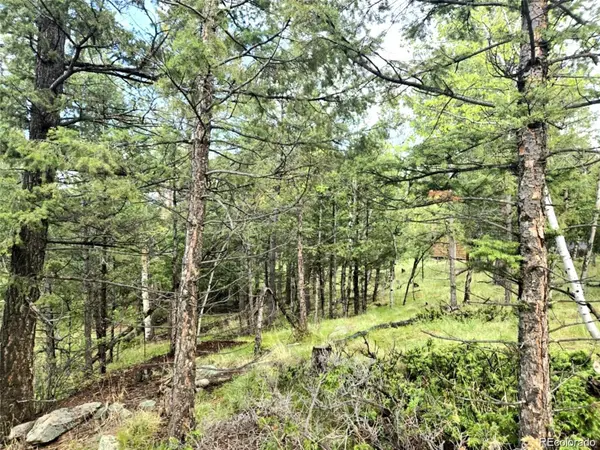 1845 Burland DR, Bailey, CO 80421