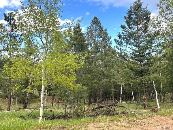 1845 Burland DR, Bailey, CO 80421