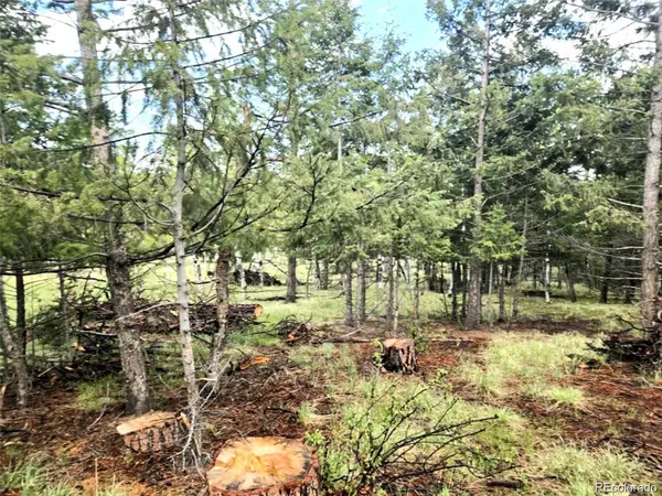 1845 Burland DR, Bailey, CO 80421