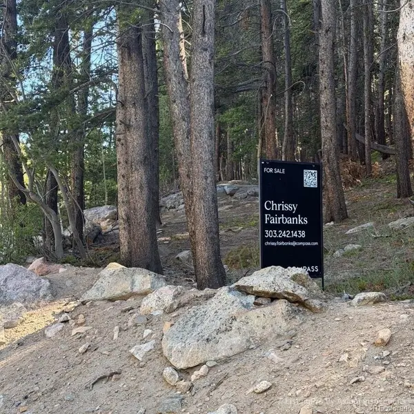 Lot 378 Alice RD, Idaho Springs, CO 80452
