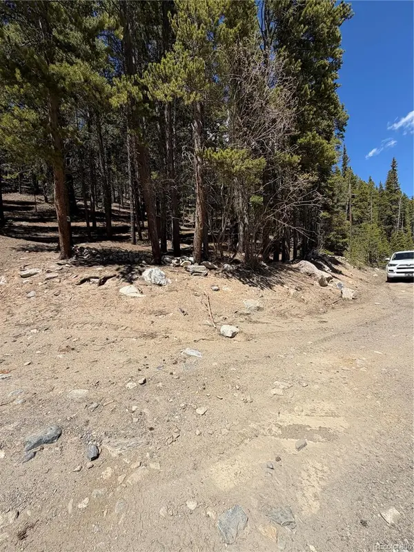 Lot 378 Alice RD, Idaho Springs, CO 80452