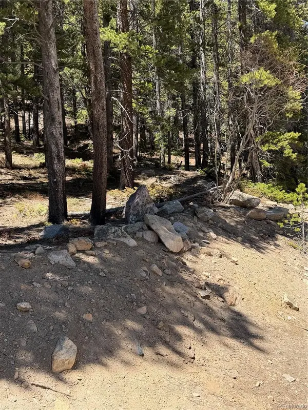 Lot 378 Alice RD, Idaho Springs, CO 80452