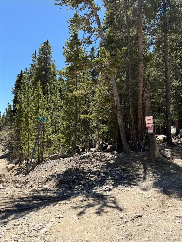 Lot 378 Alice RD, Idaho Springs, CO 80452