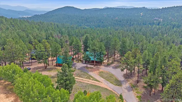 104 Six Bits ST, Bailey, CO 80421