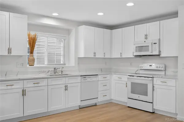 10072 Amston ST, Parker, CO 80134