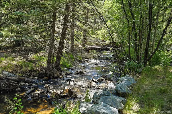 14573 S Elk Creek RD, Pine, CO 80470