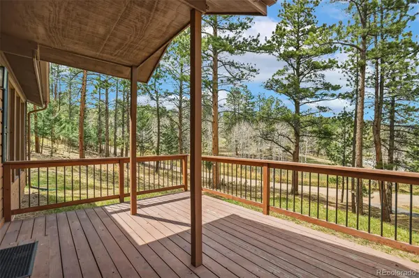 14 Aspen DR, Bailey, CO 80421
