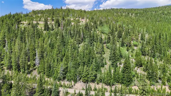 508 Hilltop RD, Idaho Springs, CO 80452