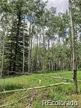 Lot 4-6 8th ST, Jasper, CO 81132