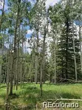 Lot 4-6 8th ST, Jasper, CO 81132