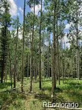 Lot 4-6 8th ST, Jasper, CO 81132