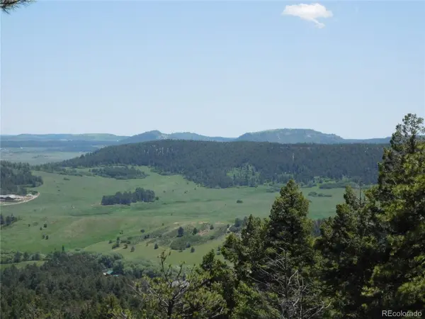 13524 Woodmoor West DR, Larkspur, CO 80118