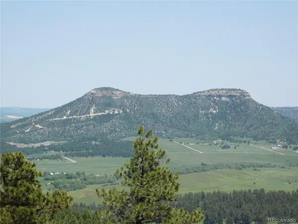 13524 Woodmoor West DR, Larkspur, CO 80118