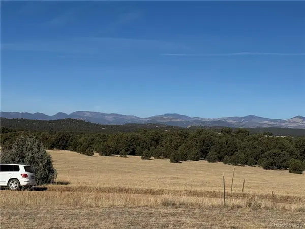474 Deer Run DR, Cotopaxi, CO 81223