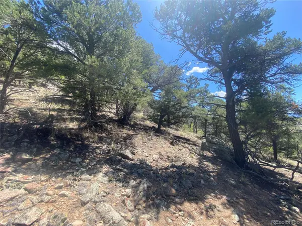 TR-142 17th TRL, Cotopaxi, CO 81223