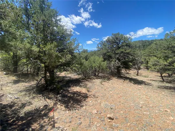 TR-142 17th TRL, Cotopaxi, CO 81223