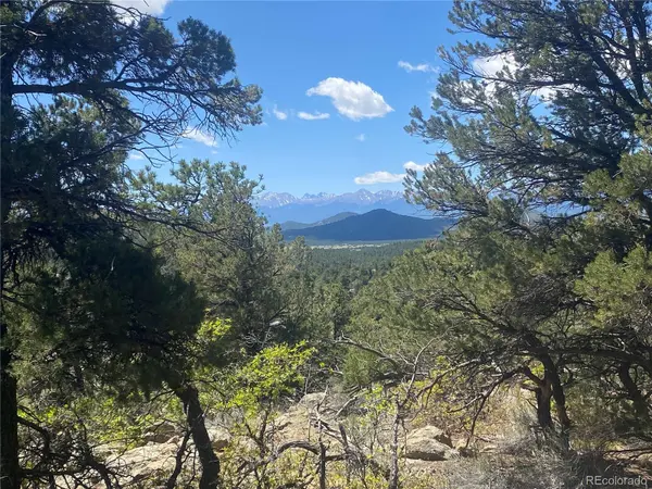 TR-142 17th TRL, Cotopaxi, CO 81223