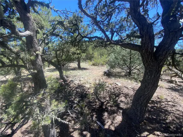 TR-142 17th TRL, Cotopaxi, CO 81223
