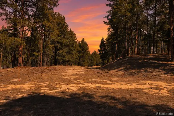 Wood Sorrel Rd, Larkspur, CO 80118