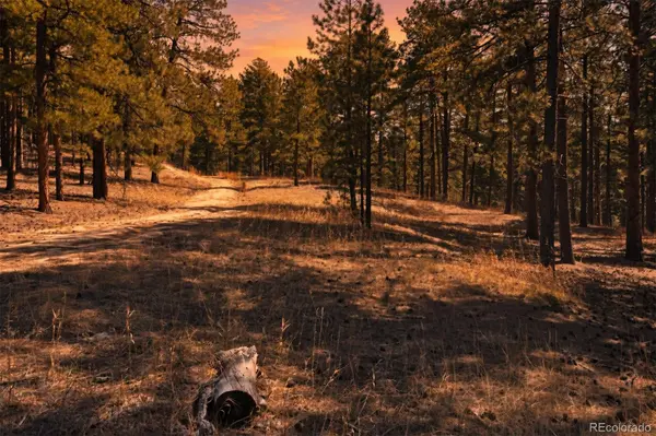 Wood Sorrel Rd, Larkspur, CO 80118