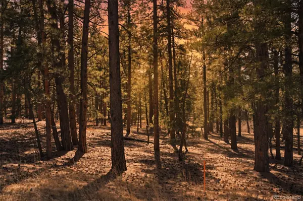 Wood Sorrel Rd, Larkspur, CO 80118