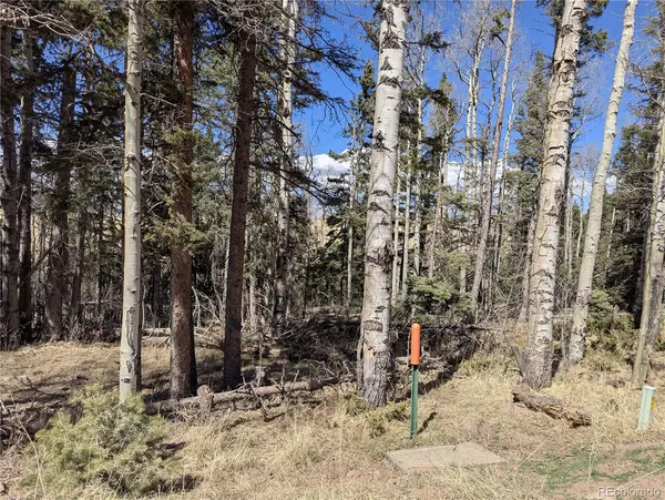 2938 Kemper LOOP, Fort Garland, CO 81133