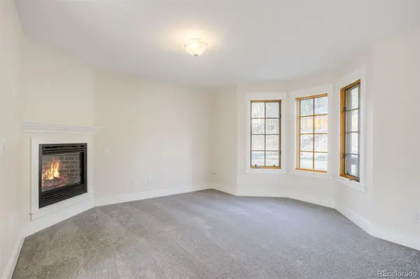 372 N Oak ST, Alma, CO 80420