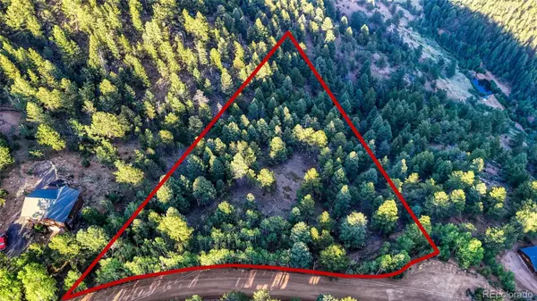 364 Blue Spruce RD, Divide, CO 80814