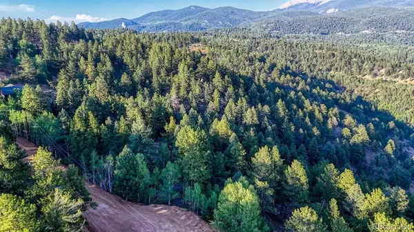 364 Blue Spruce RD, Divide, CO 80814