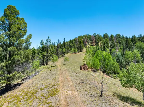 404 Morning Star Creek TRL, Florissant, CO 80816
