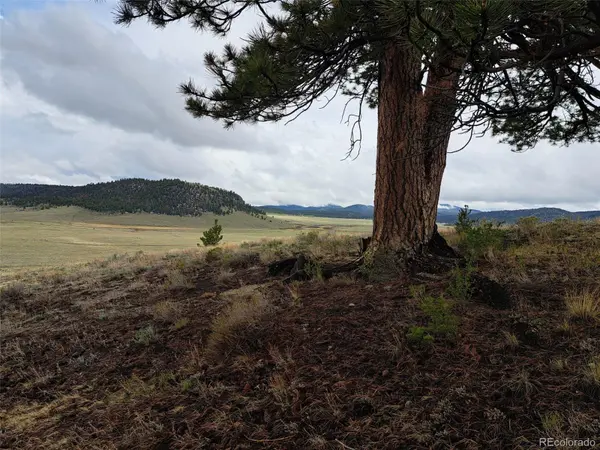 783 Remuda, Hartsel, CO 80449