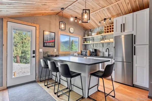 932 Peterson DR, Alma, CO 80420