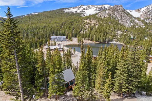 827 Mine RD, Idaho Springs, CO 80452