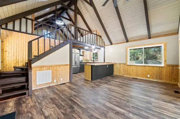 827 Mine RD, Idaho Springs, CO 80452