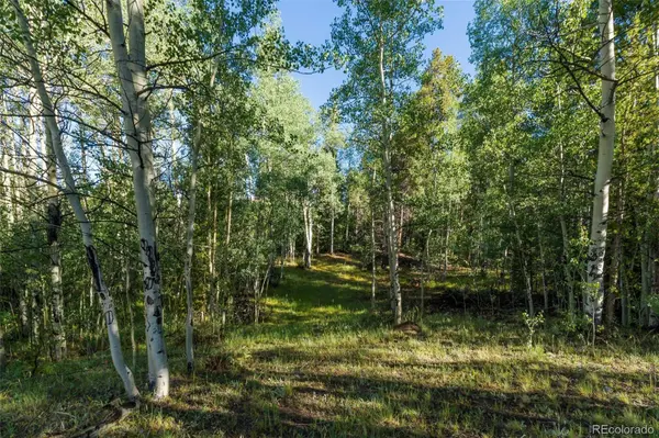 Lot 1 Snow Cap Peaks RD, Alma, CO 80440
