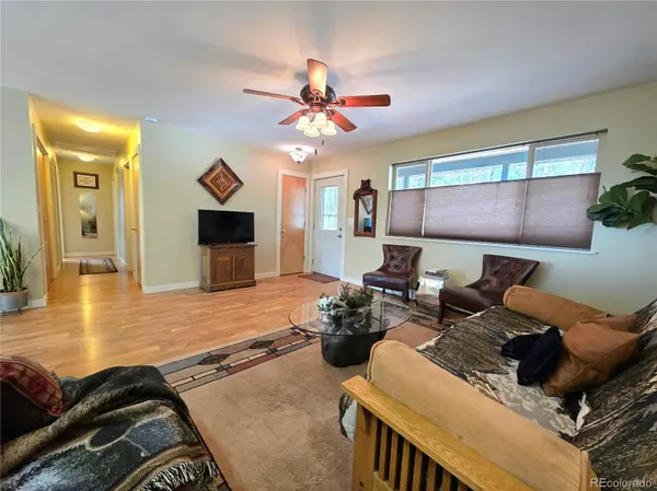 2063 Vagabond Creek DR, Lake George, CO 80827