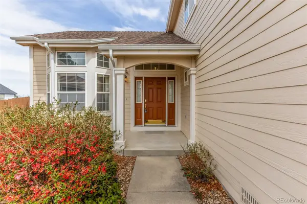 8825 Fairview Oaks PL, Lone Tree, CO 80124