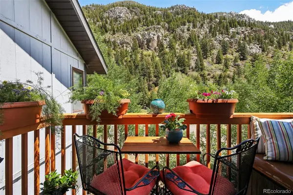 1901 Clear Creek DR #F304, Georgetown, CO 80444