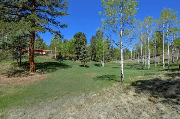 63 Star View TRL, Divide, CO 80814
