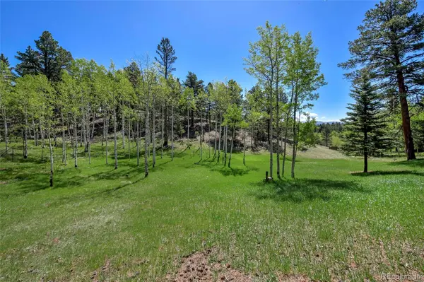 63 Star View TRL, Divide, CO 80814