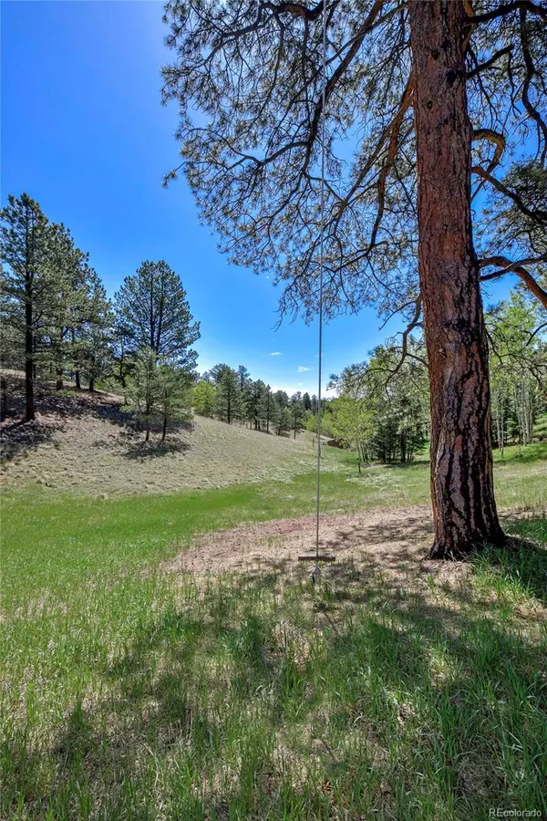 63 Star View TRL, Divide, CO 80814