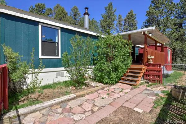 63 Star View TRL, Divide, CO 80814