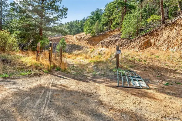 700 County Road 102J, Ward, CO 80481