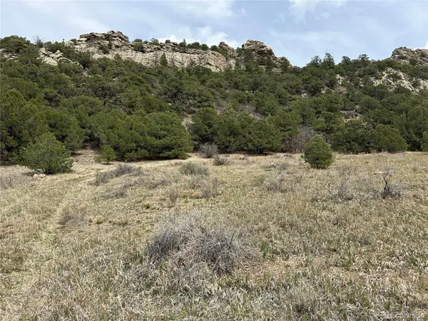 000 Pass Creek Rd, Gardner, CO 81040