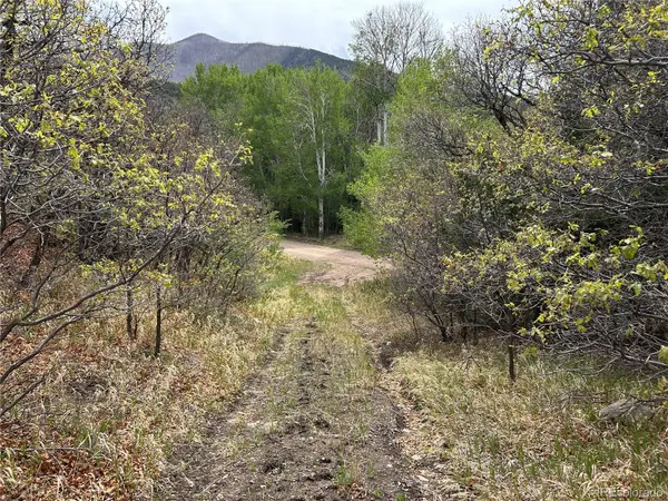 000 Pass Creek Rd, Gardner, CO 81040