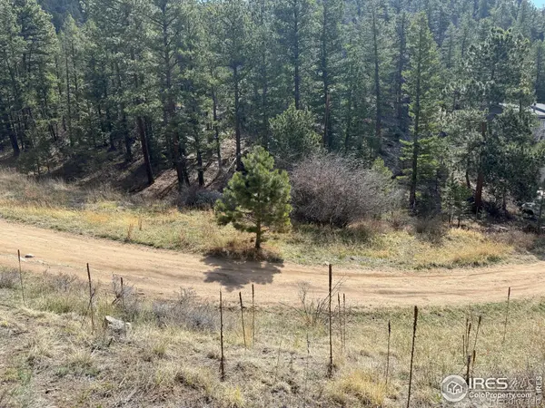 1050 Pine Tree DR, Estes Park, CO 80517