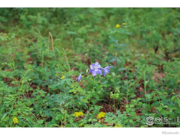 0 Old Flowers RD, Bellvue, CO 80512