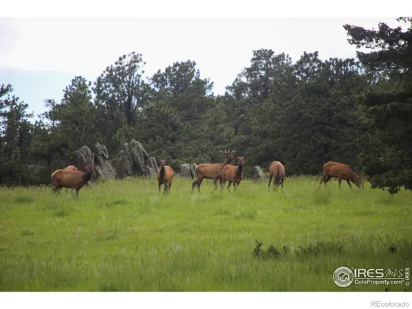 0 Old Flowers RD, Bellvue, CO 80512